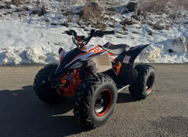 E-Quad Kayo eA 110 2100 Watt 48 Volt